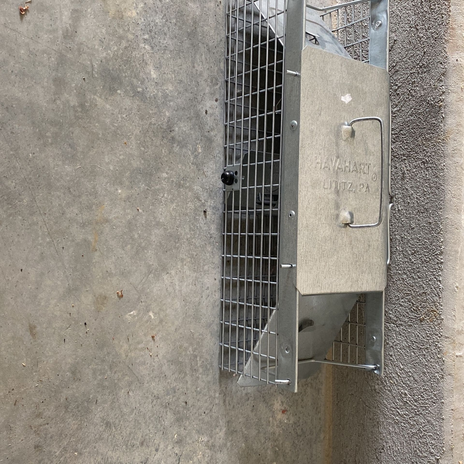 Animal Trap