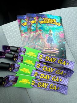 BEYOND WONDERLAND GA+ WRISTBANDS