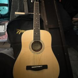 Mitchell Guitar