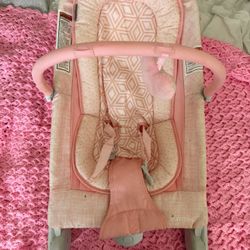Baby Bouncer 