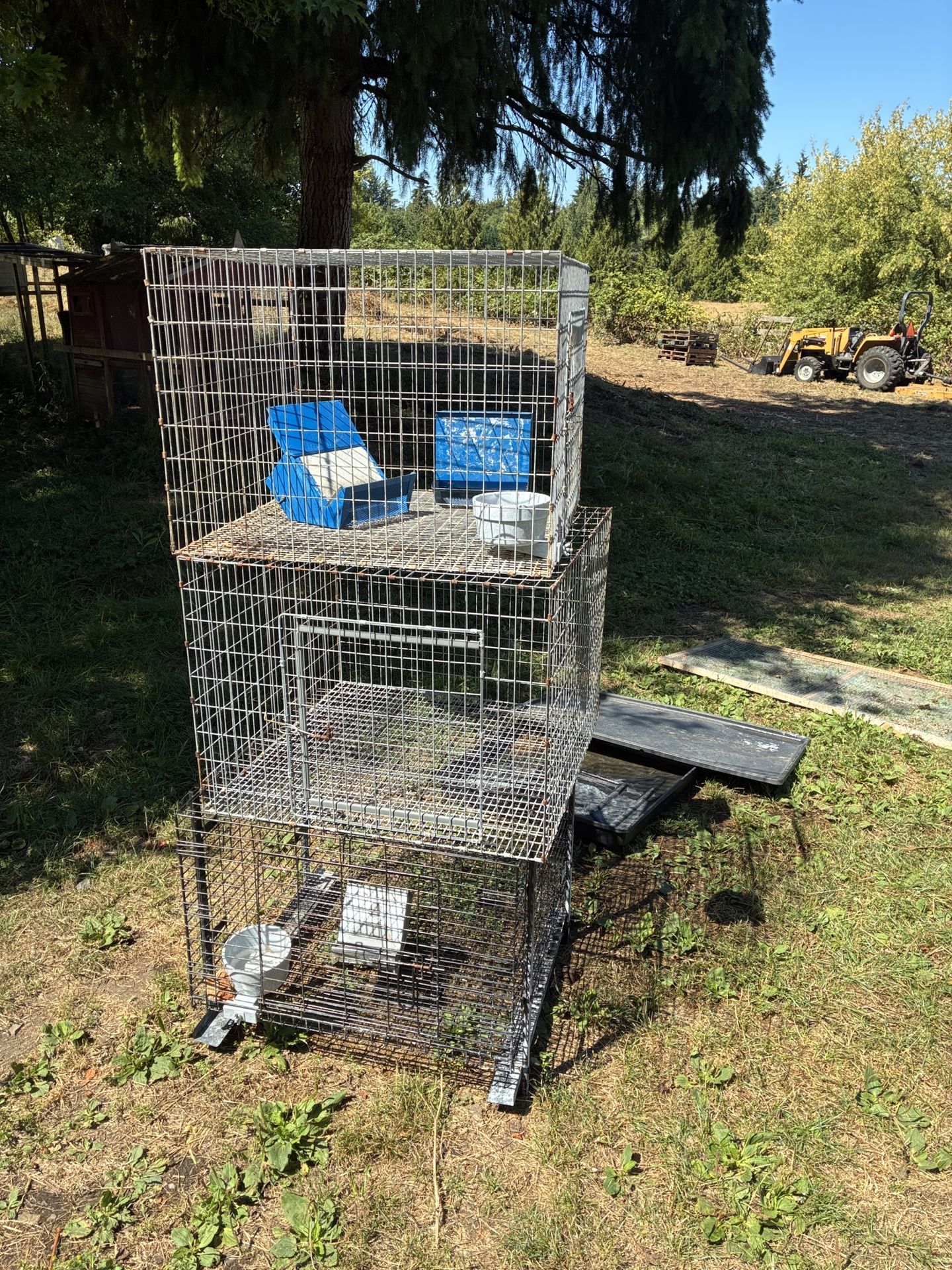 $20 Ea. Rabbit cages, or small animal cages, and feeders and waters.