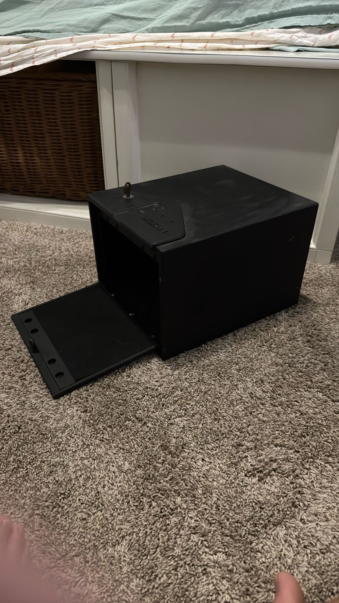 $20 Safe Please Only Serious Buyers Only.