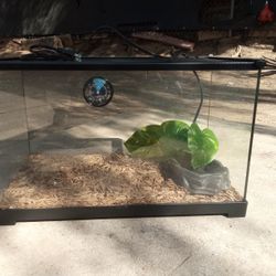 Reptile Tank