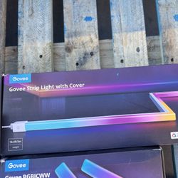 Govee Lights