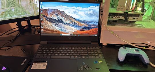 Hp vitcus (barley used)