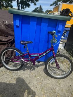 Trek Mountain Lion Bike
