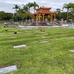 Cemetery Burial Plot Westminster Memorial