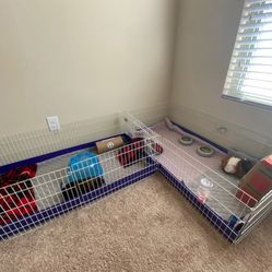 Guinea Habitat