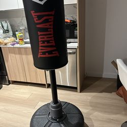 Freestanding Heavy Punching Bag