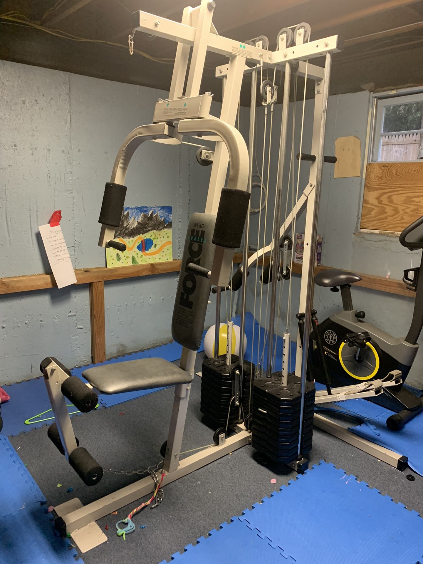 Weslo Home Gym