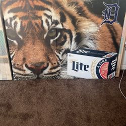 Tigers Promotional LITE picture