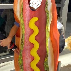 Kids Hot Dog Suit For Halloween, One Size