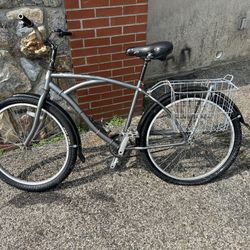 Adult Easy Bike