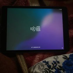 iPad 8 Generation 256 Gb 