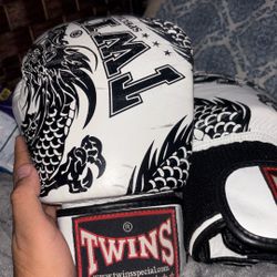 Twins Boxing Gloves 