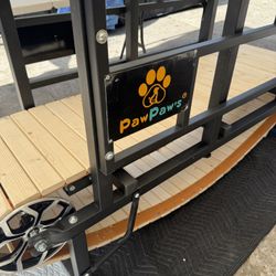 Dog Treadmill 