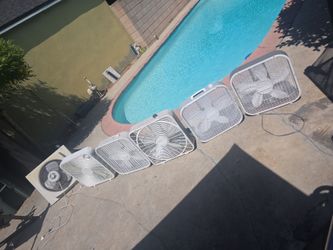Fans