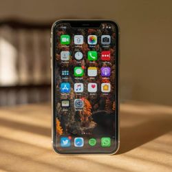 iPhone 11: Unlocked
