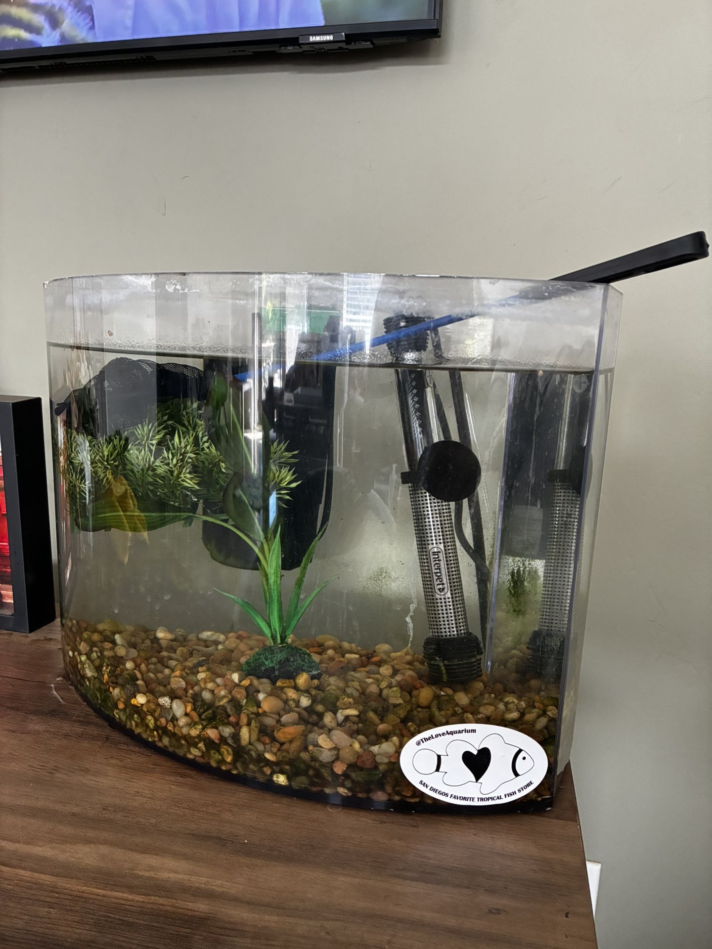 Small fish tank