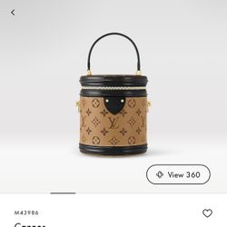 Louis Vuitton Canne Hand Bag
