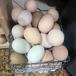 Fresh Eggs