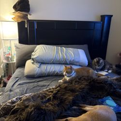 Nice Sturdy Queen Bed For Sale came from Ashley furniture store