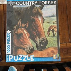 1000 Piece Puzzle Never Used