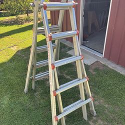 Ladder commercial LITTLE GIANT 300 pound rating