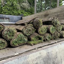 Sod (21) Rolls 