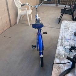 Schwinn Bike 