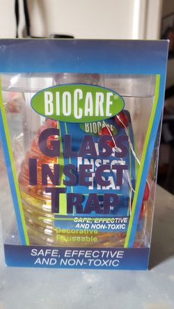 Glass insect trap