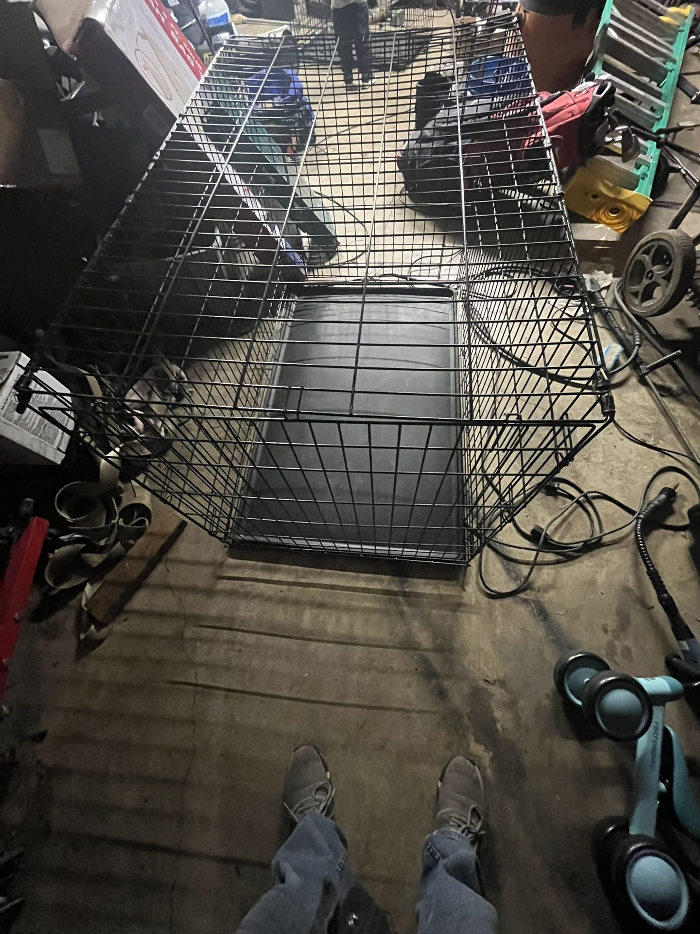 Kennel