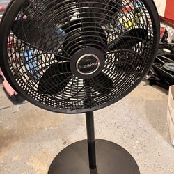 Fan