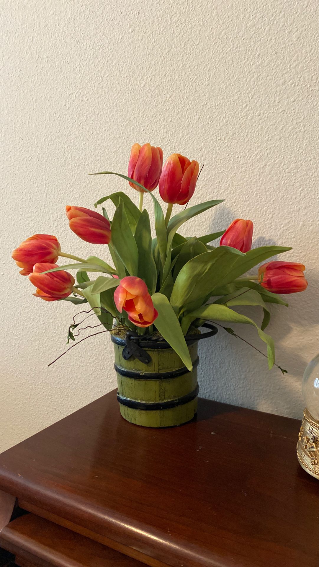 Fake Tulip Plant