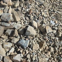 FREE - 1-2 TONs Of Palomino Gold