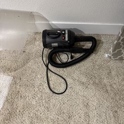 Pet dryer