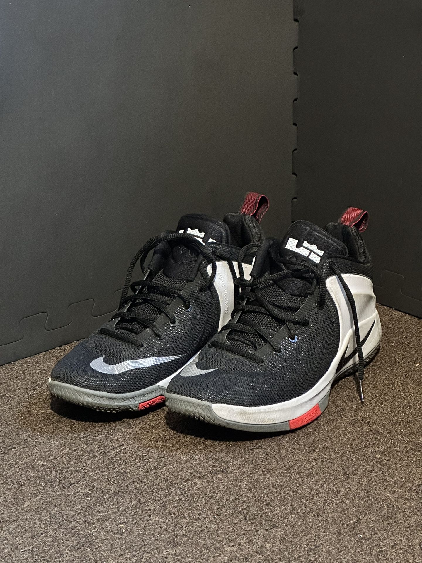 10.5 ZOOM WITNESS