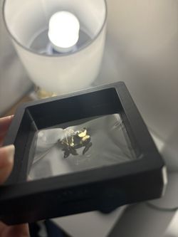 Gold Earrings 10k/aretes De Oro 10k