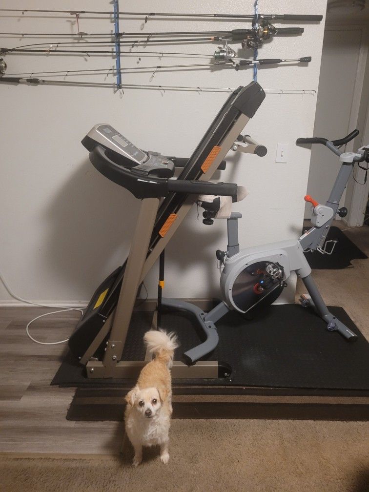 ProGear BT5000 Foldable Electric Treadmill