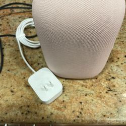 Google Nest Speaker