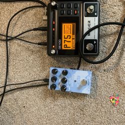 2 Guitar Pedals Great Condition 