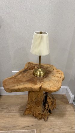 Wood Accent Table! Petrified Wood and Sealed