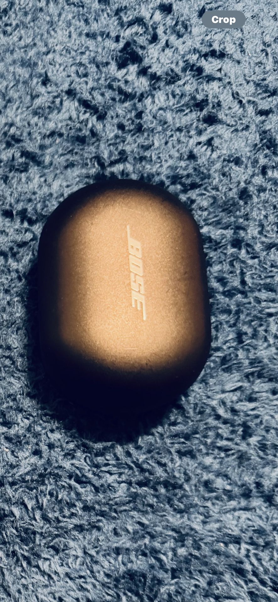 Bose Noise Canceling Earbuds
