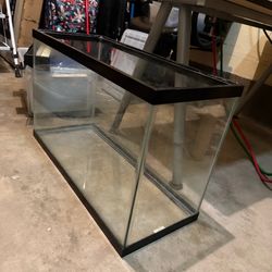 29 gallon tank with filter