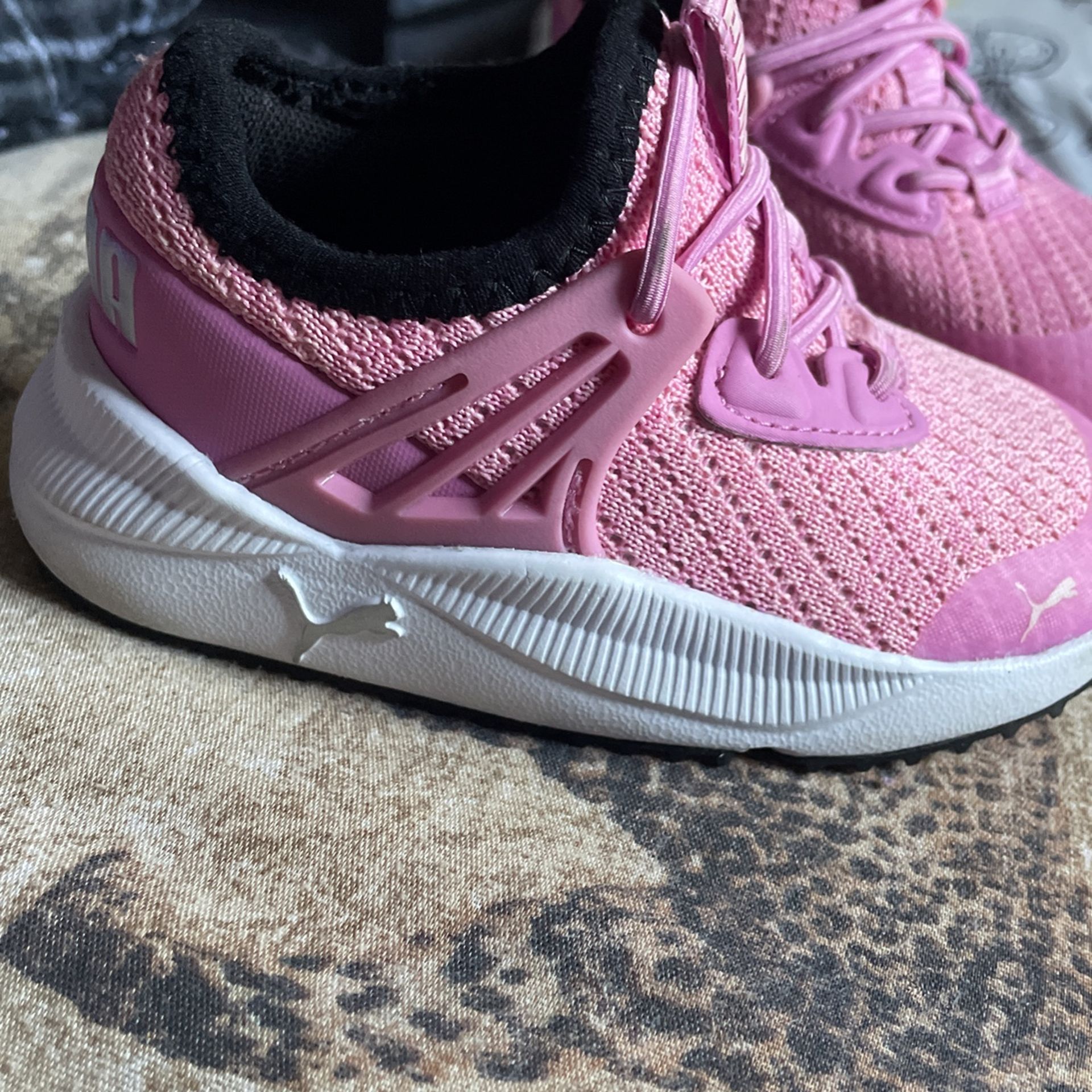 Pumas