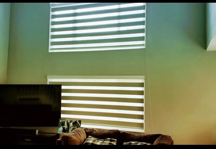 Zebra O Roller Shades