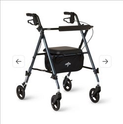 New Walker/Rollator