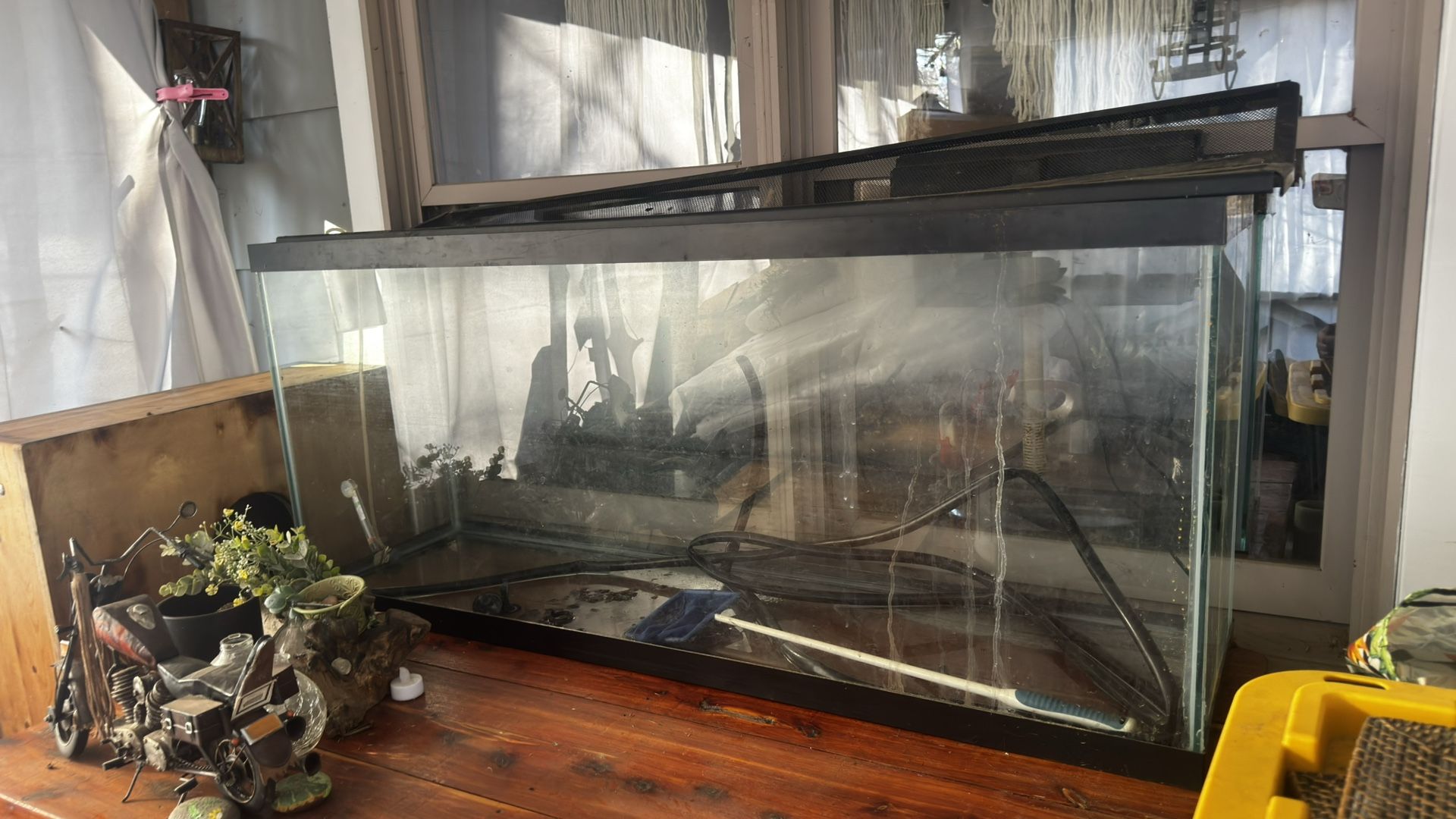 60 gallon fish tank