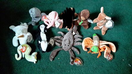 Beanie Babies  $5 Ea Or A Bundle Deal For All Located In Blasdell