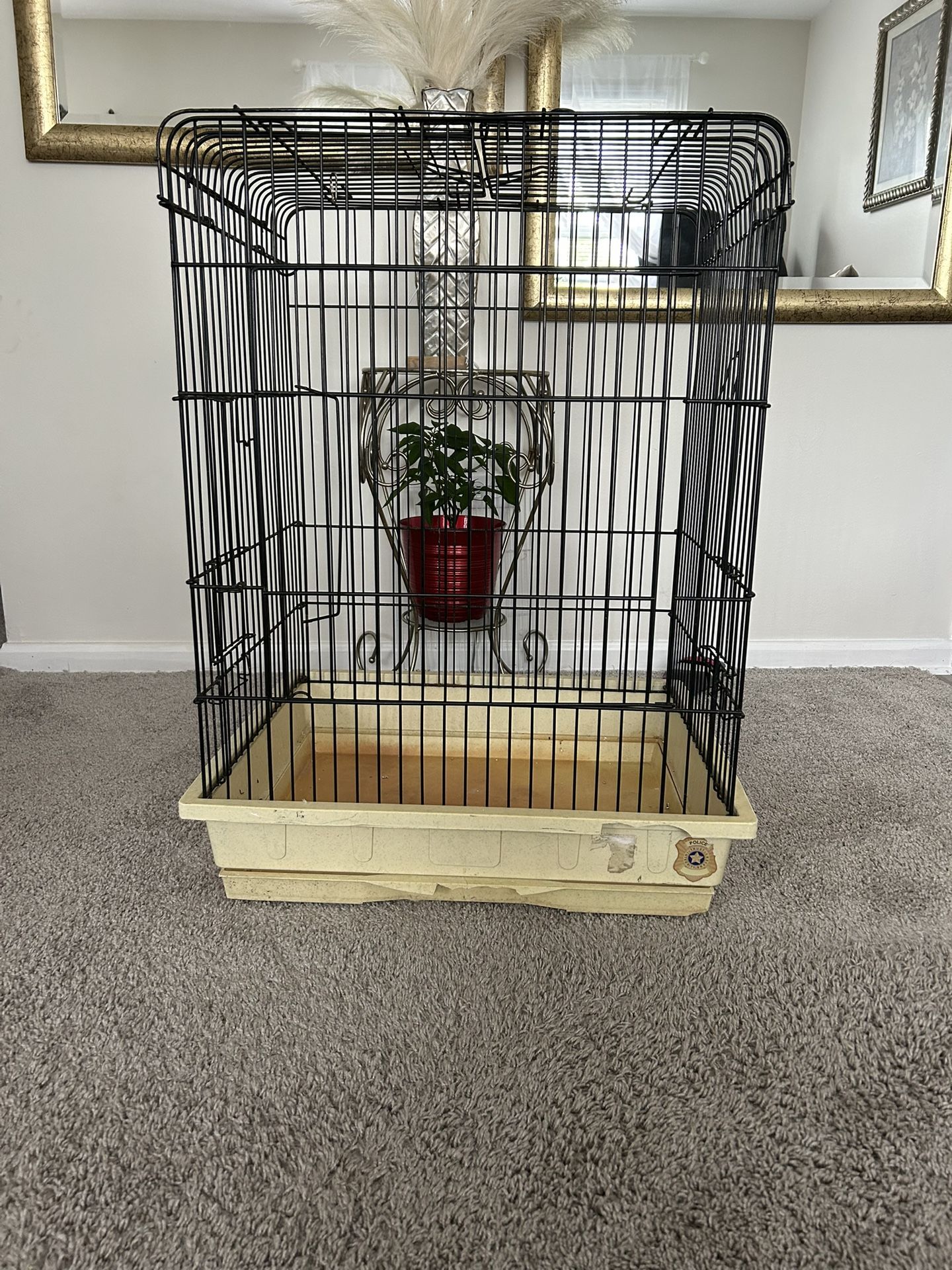 Bird Cage